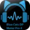 Blue Cat Audio Blue Cats DP Meter Pro 4