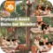 Stylized Asset Suite for Blender