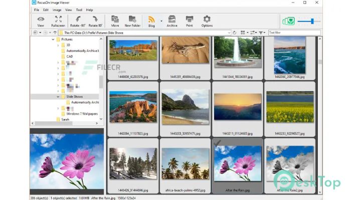 FocusOn Image Viewer 1.29 完全アクティベート版を無料でダウンロード