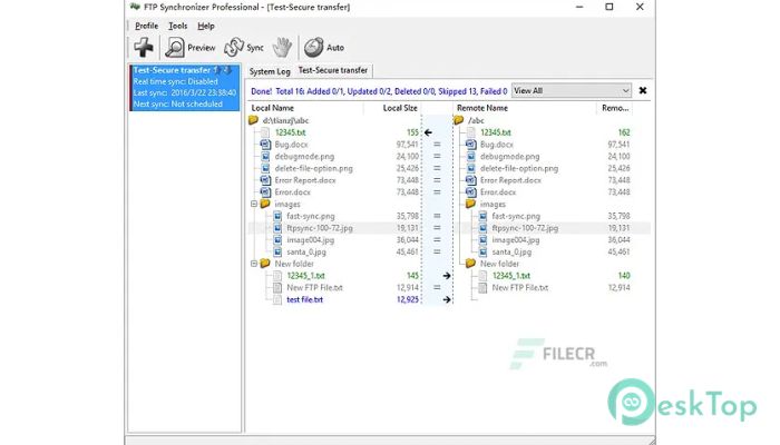 تحميل برنامج FTP Synchronizer Professional  8.1.30.1393 برابط مباشر
