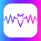 BizBat: The Music Network