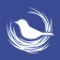 Nest VPN