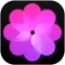 Gallery iOS - Phone 15