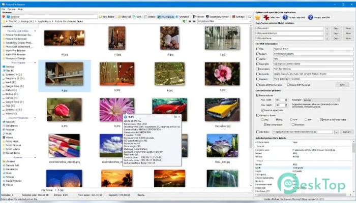 3delite Picture File Browser 1.0.42.48 完全アクティベート版を無料でダウンロード