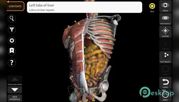 Скачать Anatomy 3D Atlas 1.0 полная версия активирована бесплатно