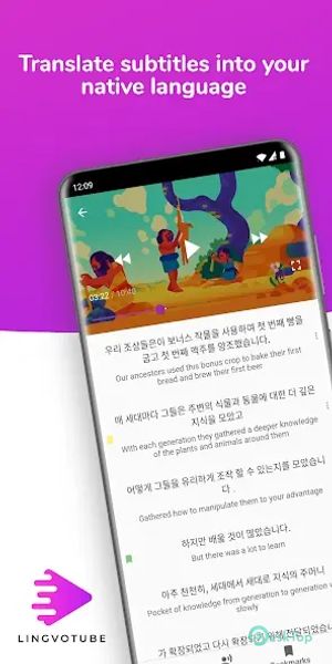 Translate subtitles for videos