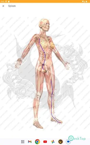 Acupuncture Assistant 8.0.17 APK MOD Полная бесплатная загрузка