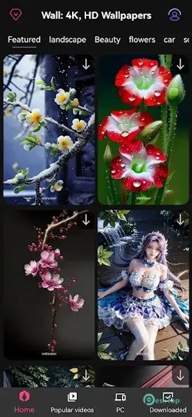 4K Wallpaper & HD Backgrounds 1.7.8 APK MOD Полная бесплатная загрузка