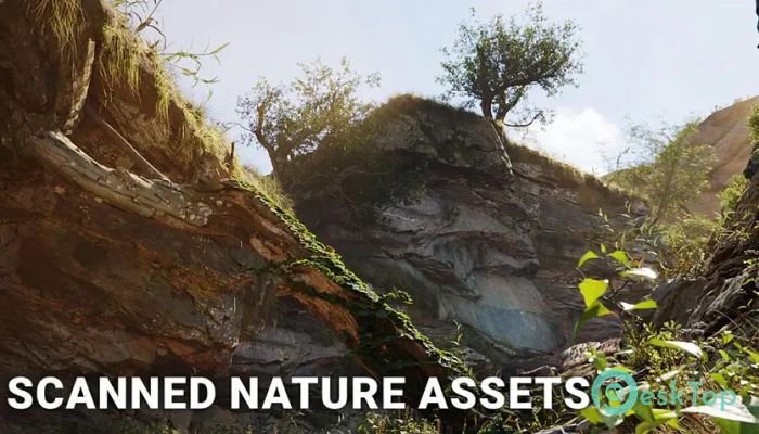 Superhive Market - Poly Haven Asset Browser