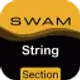 audio-modeling-swam-string-sections_icon