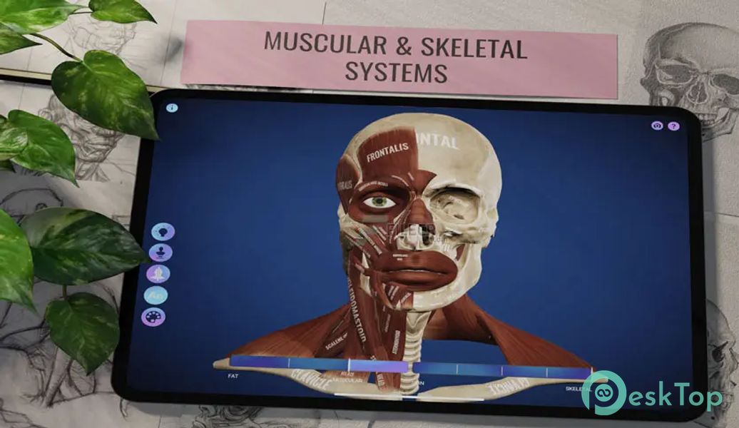 Ecorche - Portrait Anatomy v1.7.4 APK MOD Unlocked (Full) Free Download