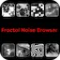 Aescripts - Fractal Noise Browser