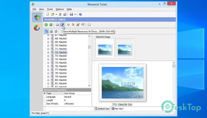 Download Heaventools Resource Tuner 2.22 Free Full Activated
