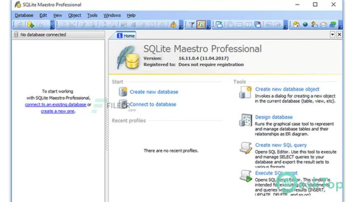  تحميل برنامج SQLite Maestro Professional 21.5.0.5 برابط مباشر