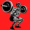 Barbell Workout at Home & Gym