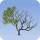 Pixarra-TwistedBrush-Tree-Studio_icon