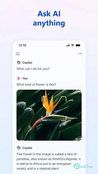 Microsoft Copilot AI Assistant