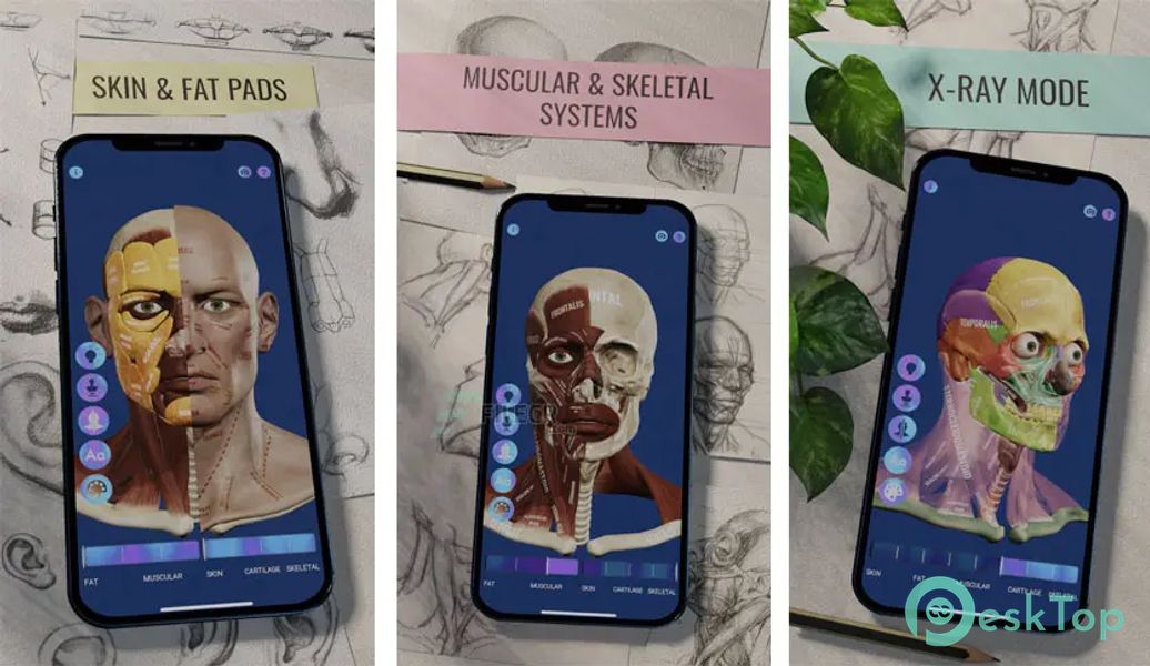 Ecorche - Portrait Anatomy v1.7.4 APK MOD Unlocked (Full) Free Download