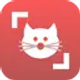 cat-scanner-breed-recognition_icon