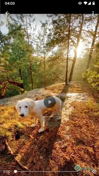 Video Saver for TikTok no logo 100 APK MOD Unlocked (Full) Free Download