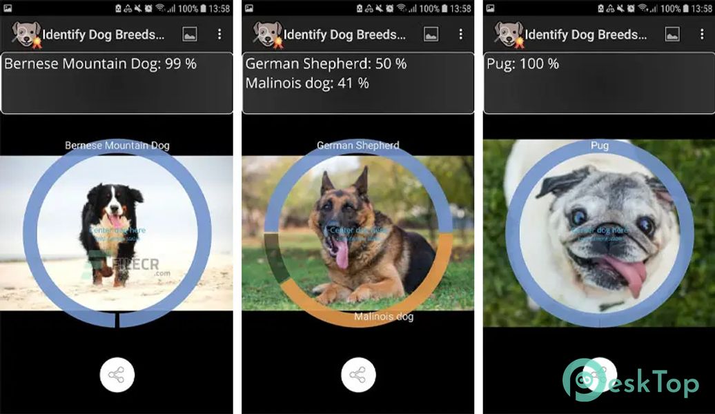 Identify Dog Breeds Pro 28 APK MOD Полная бесплатная загрузка