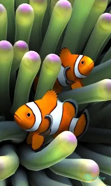 Sim Aquarium Live Wallpaper 1.1.0 APK MOD Unlocked (Full) Free Download