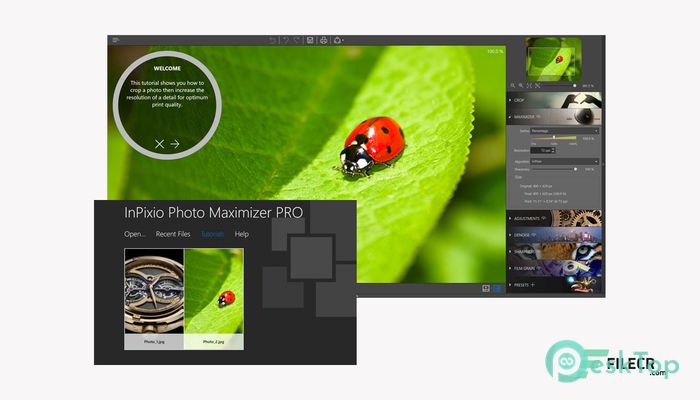 InPixio Photo Maximizer Pro 5.3.8620.22314 Tam Sürüm Aktif Edilmiş Ücretsiz İndir