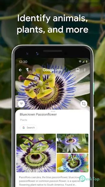 Google Lens 1.17.240515009 APK MOD Unlocked (Full) Free Download