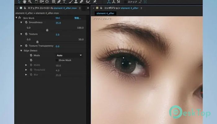 Digital Bigmo Skinworks 2024.11.00 完全アクティベート版を無料でダウンロード