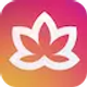 工具与实用程序 v2.76 icon