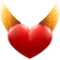DNS Angel