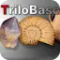 TriloBase