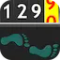 Walking Odometer Pro