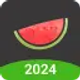 melon-vpn-secure-proxy-vpn_icon