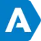 ASM Visual