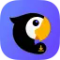 Teradownloader.com & Player