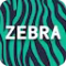 Zebra Proxy - Safe & Fast VPN