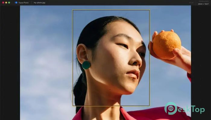 Télécharger Topaz Photo Pro 1.0.1 Gratuitement Activé Complètement