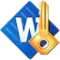 Accent WORD Password Recovery
