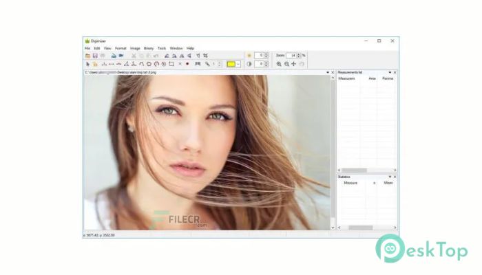 Download Digimizer  6.3.0 Free Full Activated