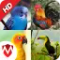 100 Bird sounds