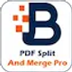 Ofis ve PDF 2.0 icon