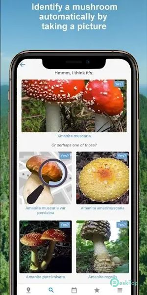 Mushroom Identify - Automatic 2.97 APK MOD Tam Ücretsiz İndir
