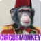 Aescripts CircusMonkey