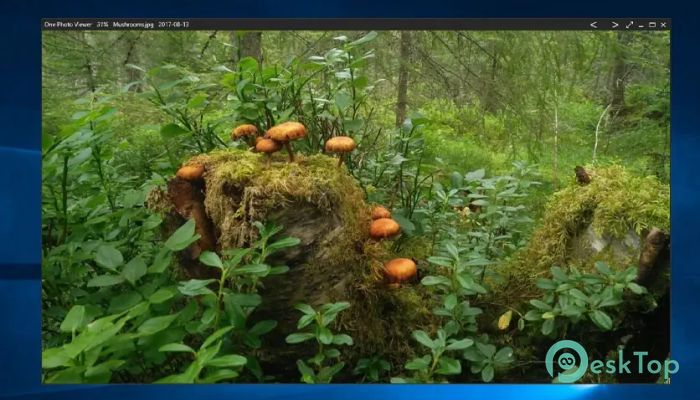 Скачать One Photo Viewer 1.0 полная версия активирована бесплатно