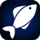 fishing-forecast_icon