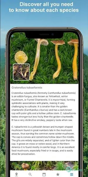 Mushroom Identify - Automatic 2.97 APK MOD Tam Ücretsiz İndir