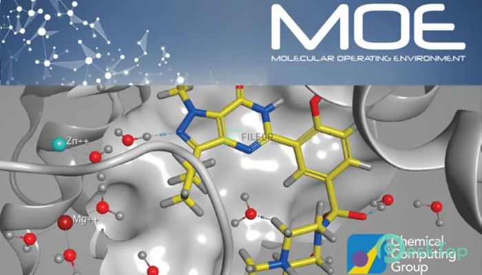 Download Chemical Computing Group MOE v2022.02 Free Full Activated