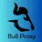 BULL VPN