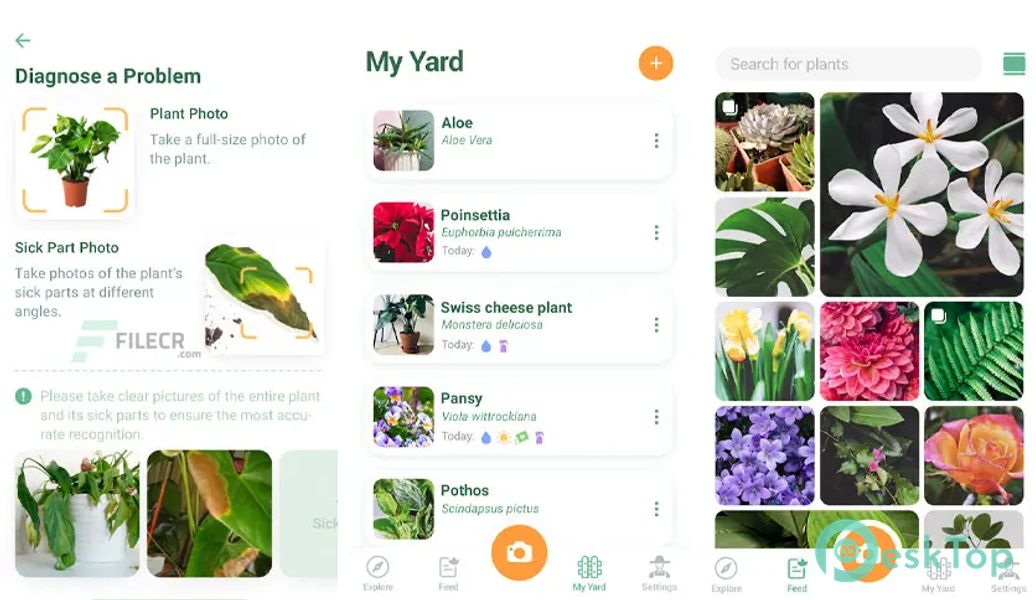 NatureID: Identify plants, flowers, trees & leaves